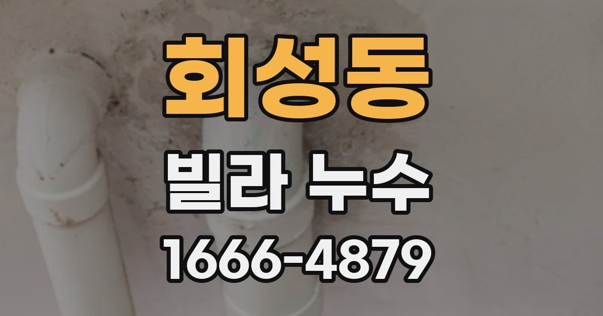 회성동 빌라 누수