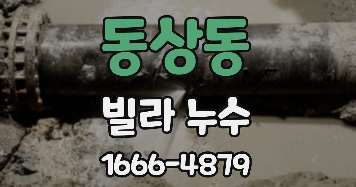 동상동 빌라 누수