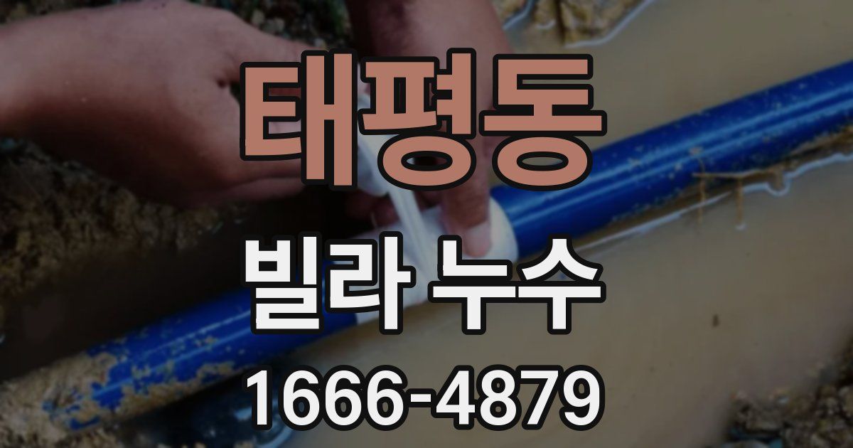 태평동 빌라 누수