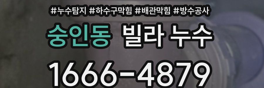 숭인동 빌라 누수