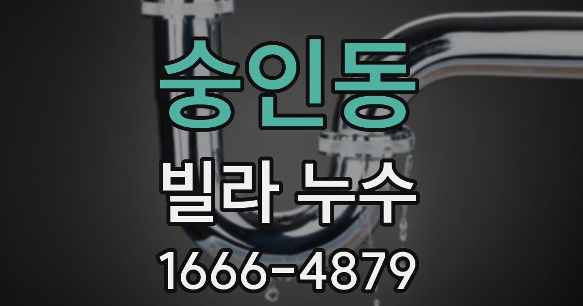 숭인동 빌라 누수