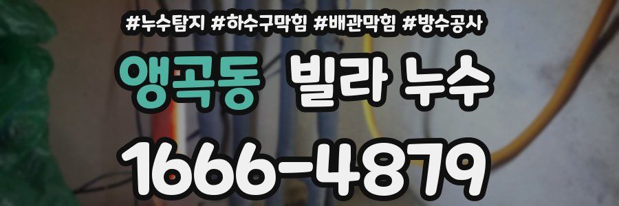 앵곡동 빌라 누수