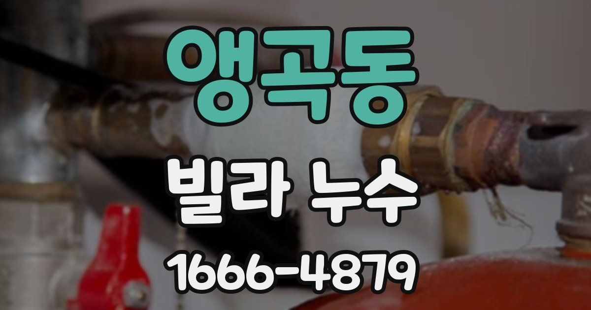 앵곡동 빌라 누수