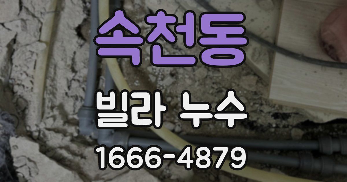 속천동 빌라 누수