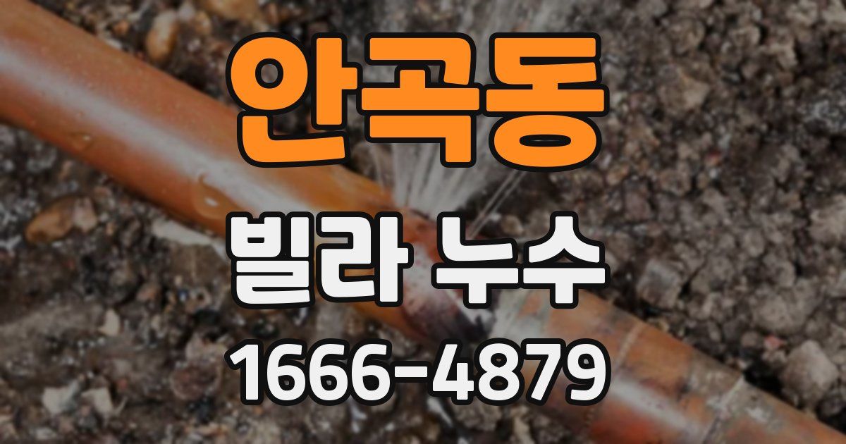 안곡동 빌라 누수