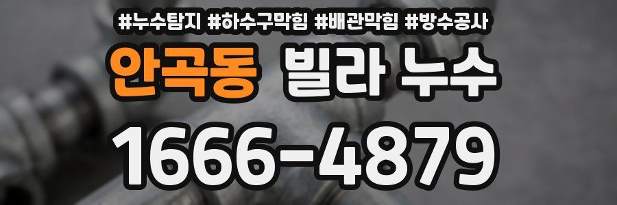 안곡동 빌라 누수