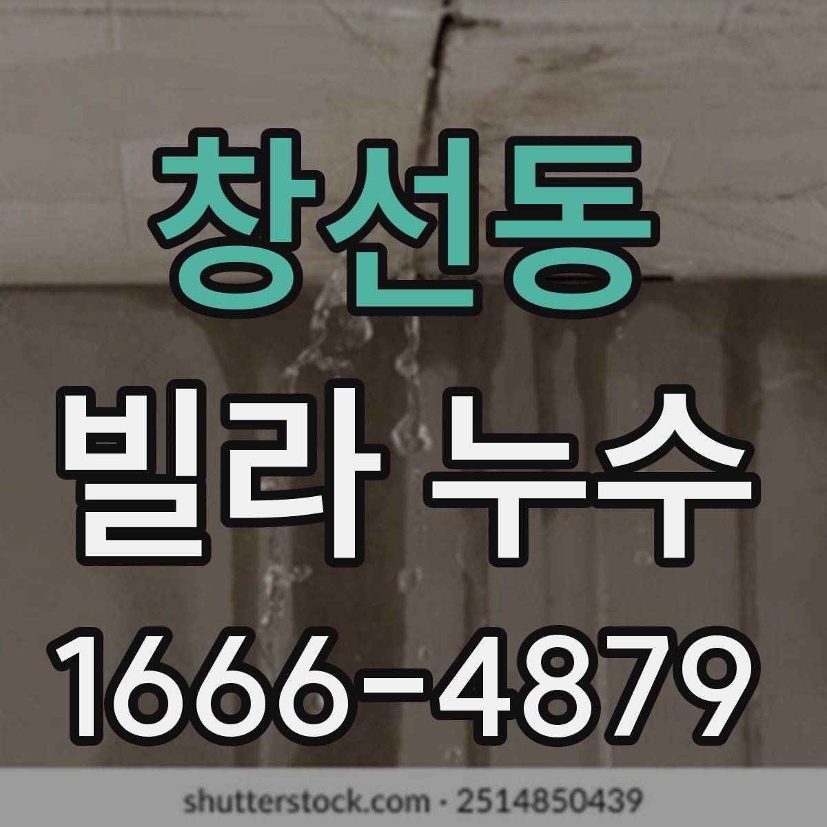 창선동 빌라 누수