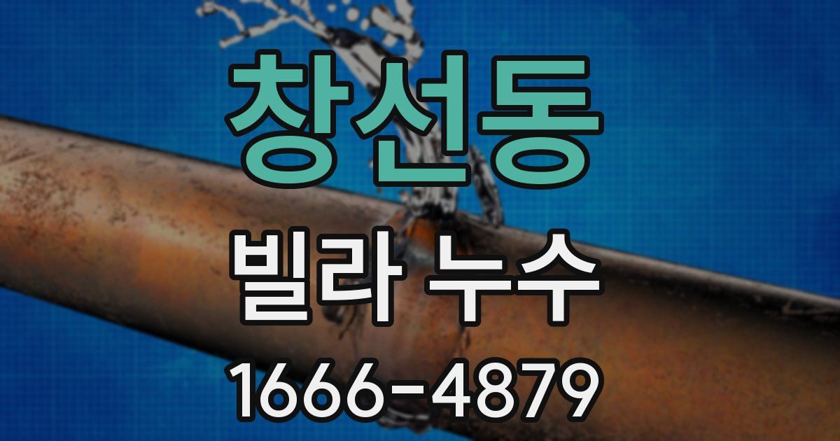 창선동 빌라 누수
