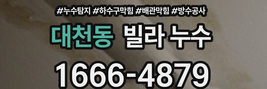 대천동 빌라 누수