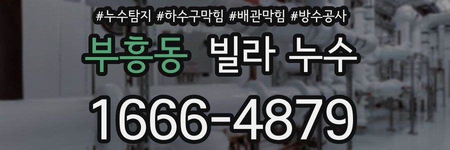 부흥동 빌라 누수