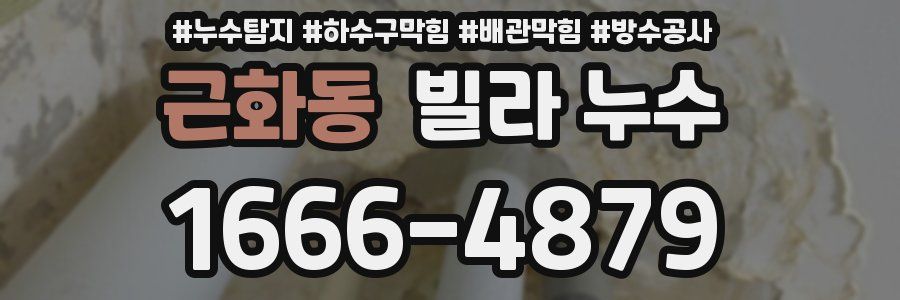 근화동 빌라 누수