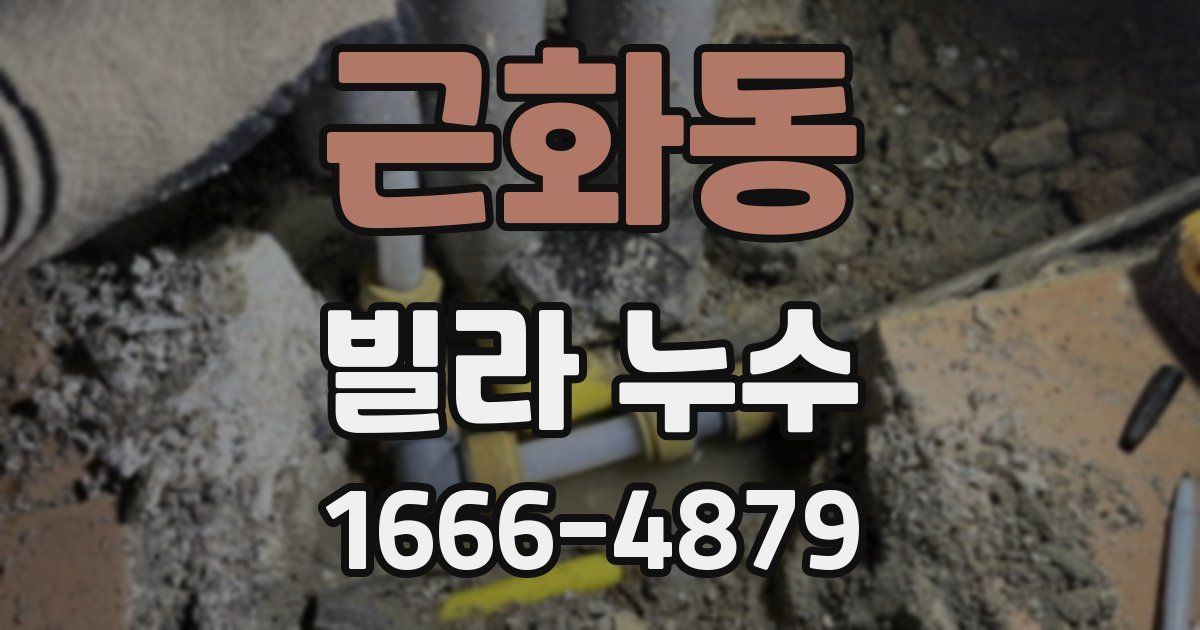 근화동 빌라 누수