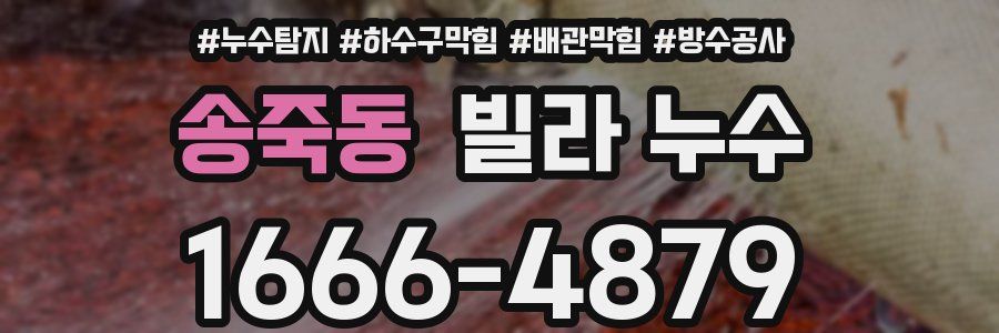 송죽동 빌라 누수