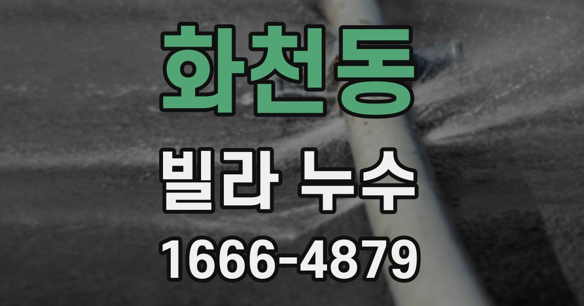 화천동 빌라 누수