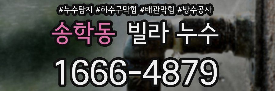 송학동 빌라 누수