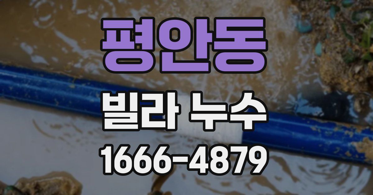 평안동 빌라 누수
