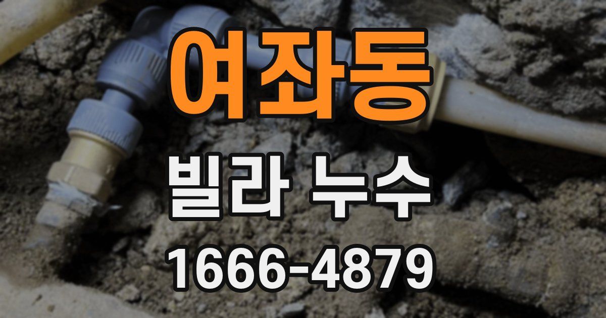 여좌동 빌라 누수