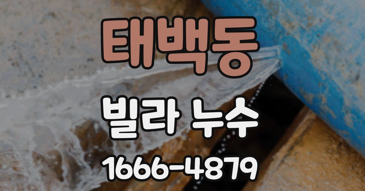 태백동 빌라 누수