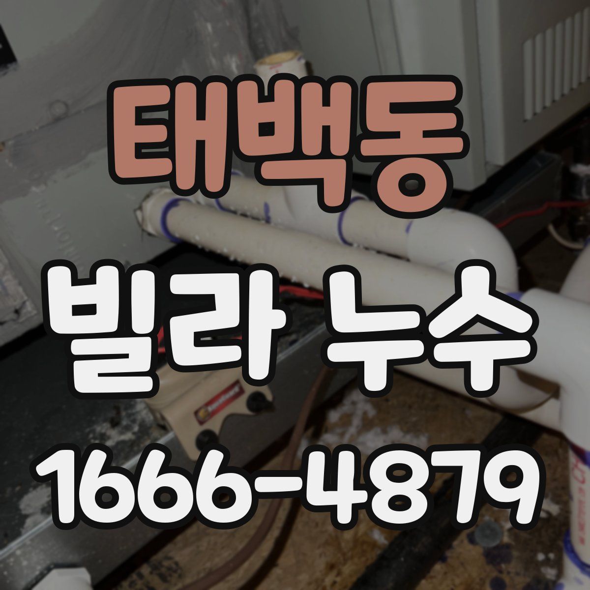 태백동 빌라 누수