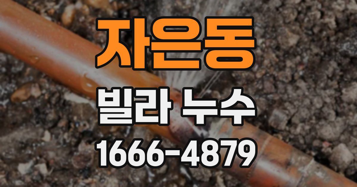 자은동 빌라 누수