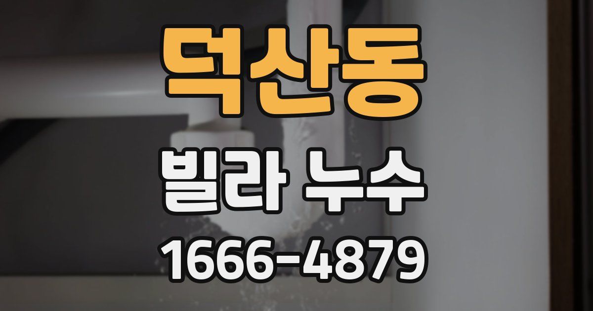 덕산동 빌라 누수