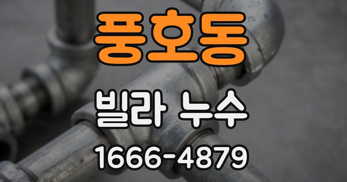 풍호동 빌라 누수
