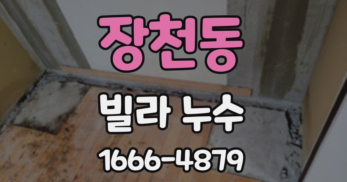 장천동 빌라 누수