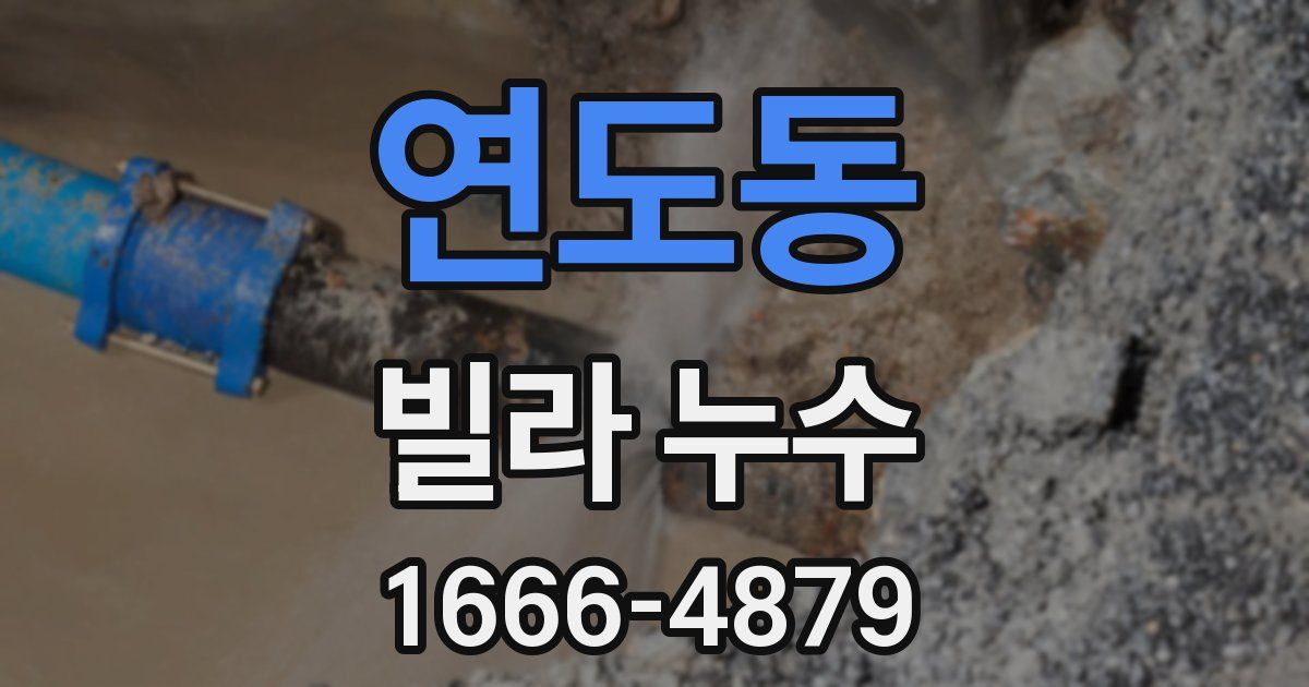 연도동 빌라 누수