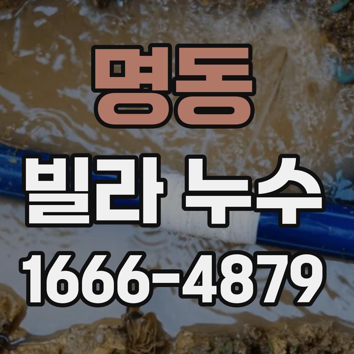 명동 빌라 누수