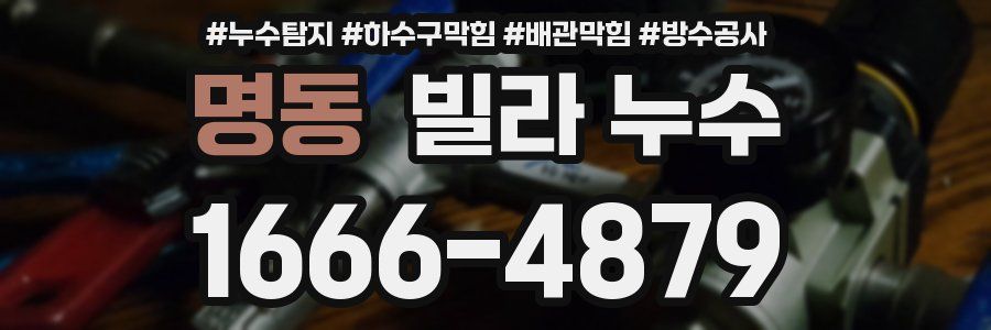 명동 빌라 누수