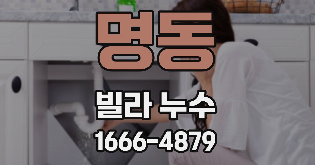 명동 빌라 누수