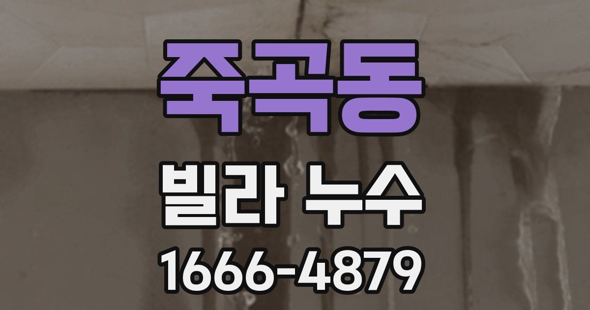 죽곡동 빌라 누수