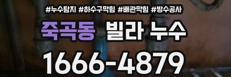 죽곡동 빌라 누수