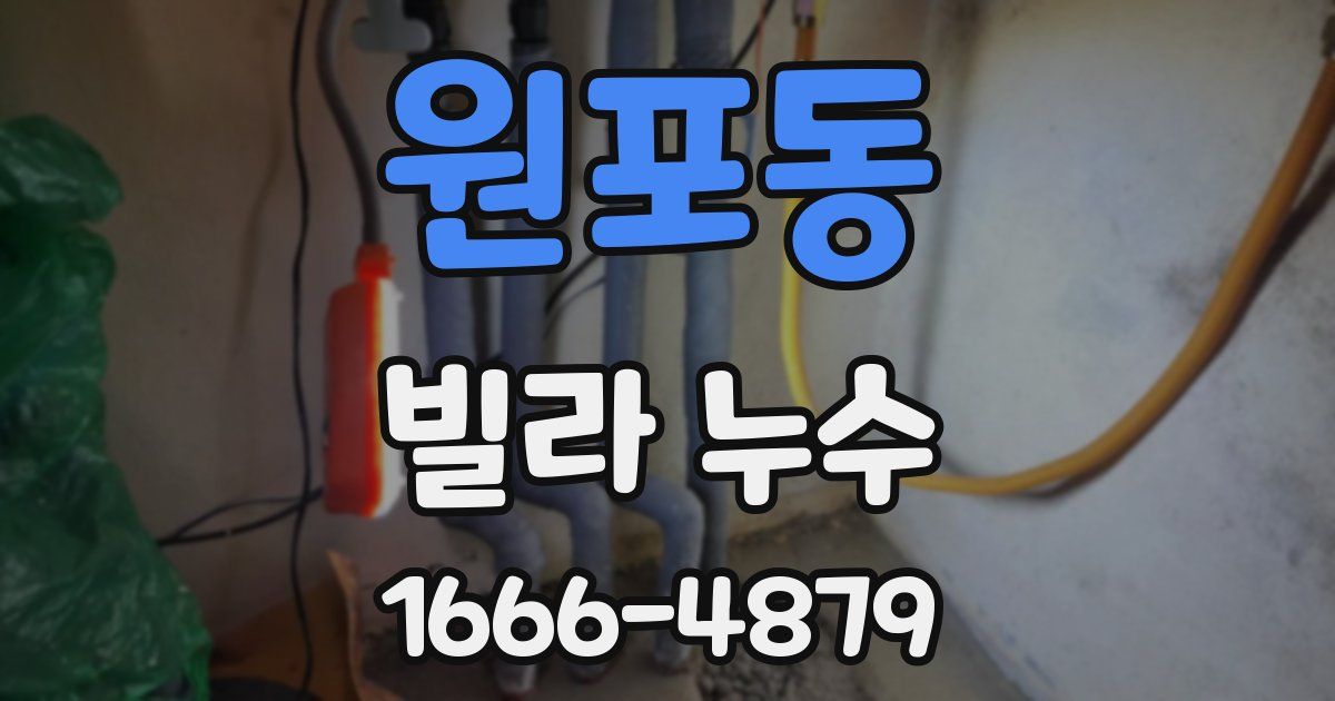 원포동 빌라 누수