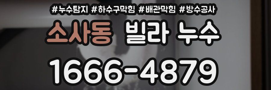 소사동 빌라 누수