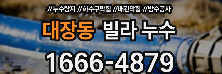 대장동 빌라 누수