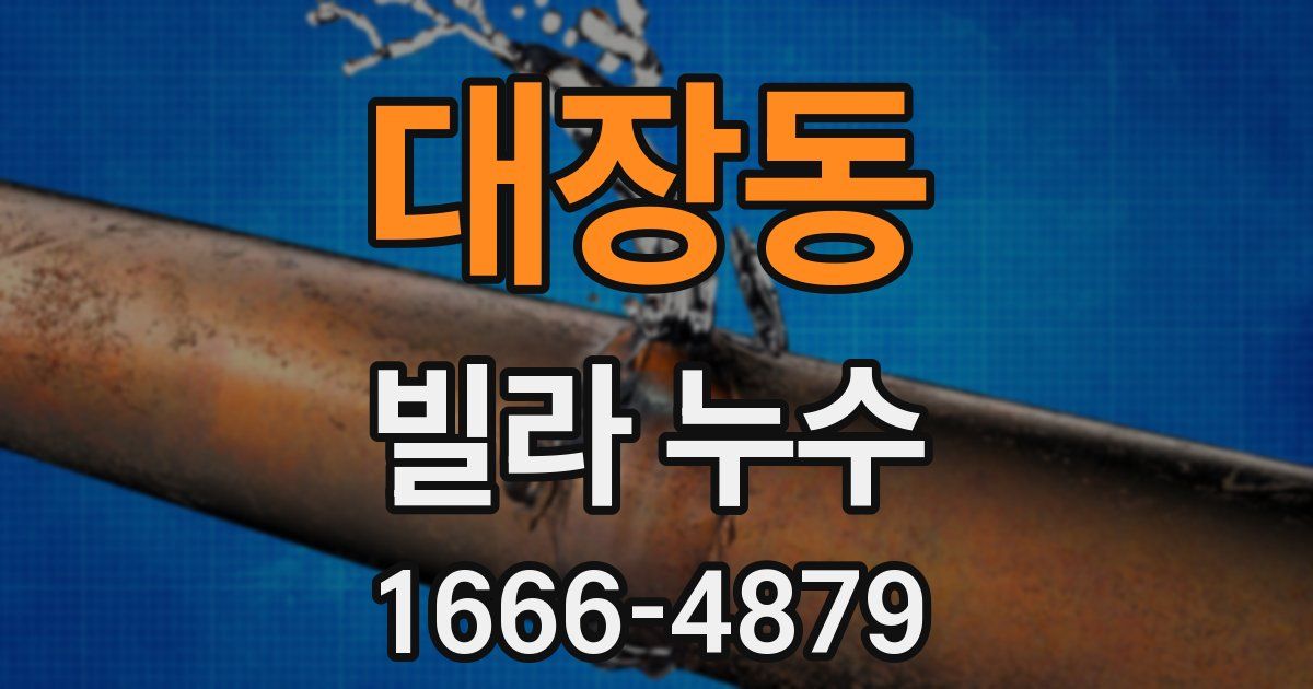 대장동 빌라 누수