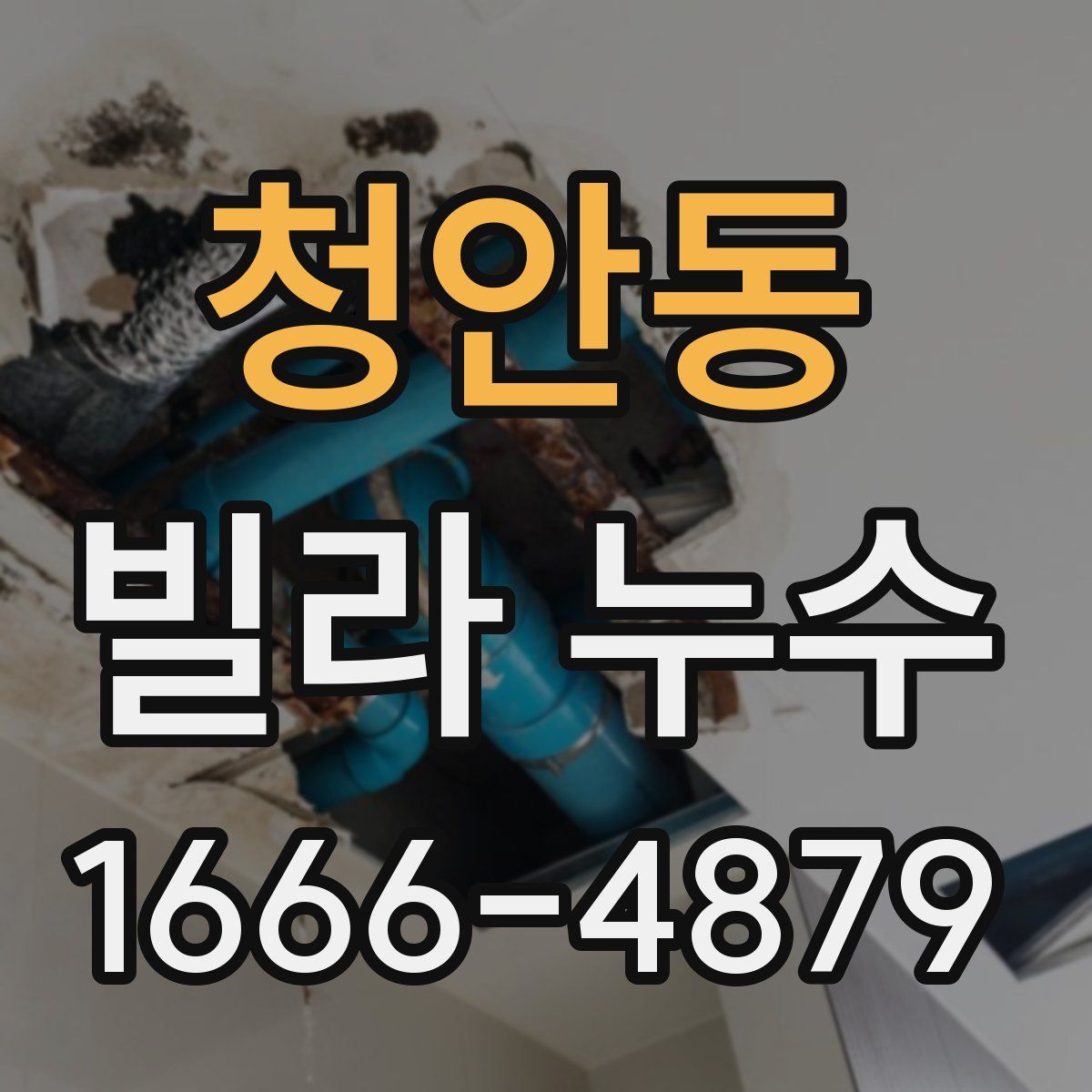 청안동 빌라 누수