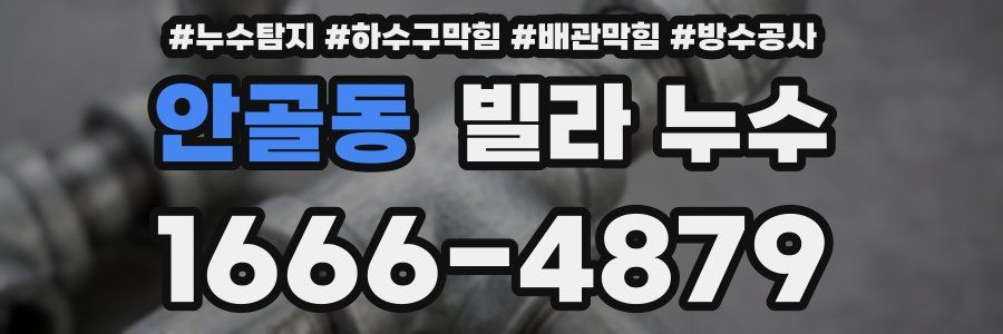 안골동 빌라 누수