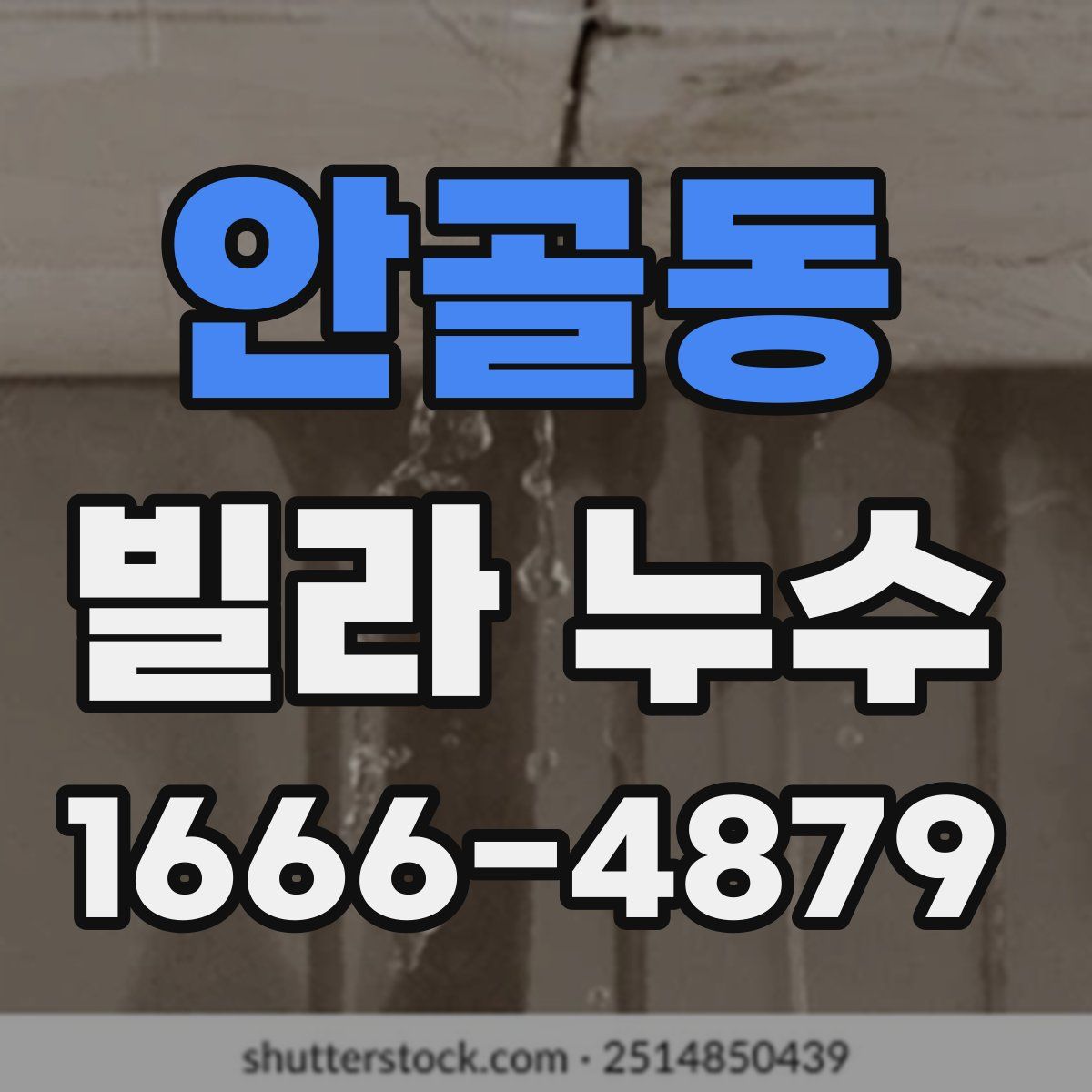 안골동 빌라 누수