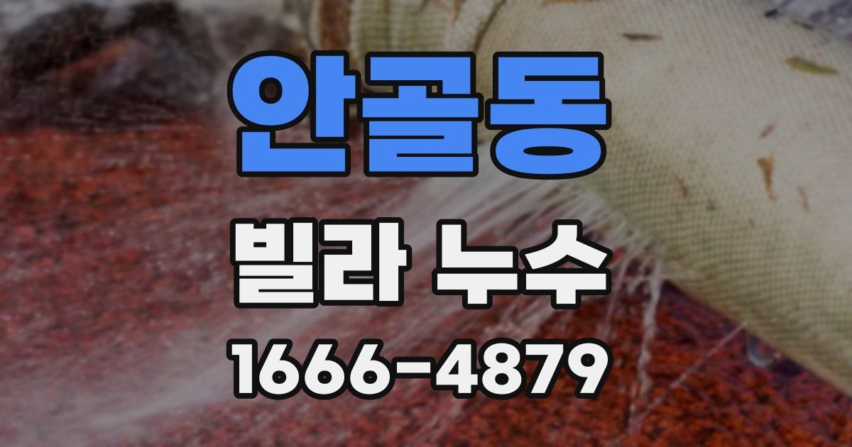 안골동 빌라 누수
