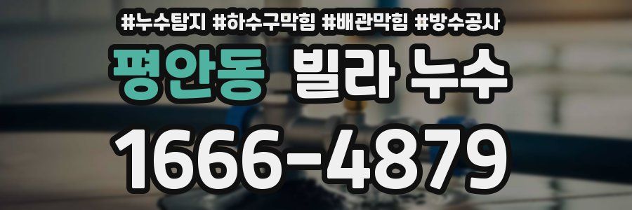 평안동 빌라 누수