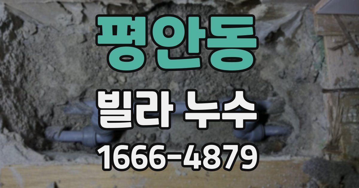 평안동 빌라 누수