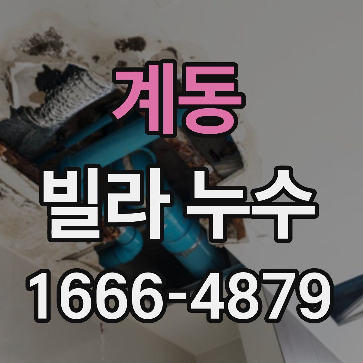 계동 빌라 누수