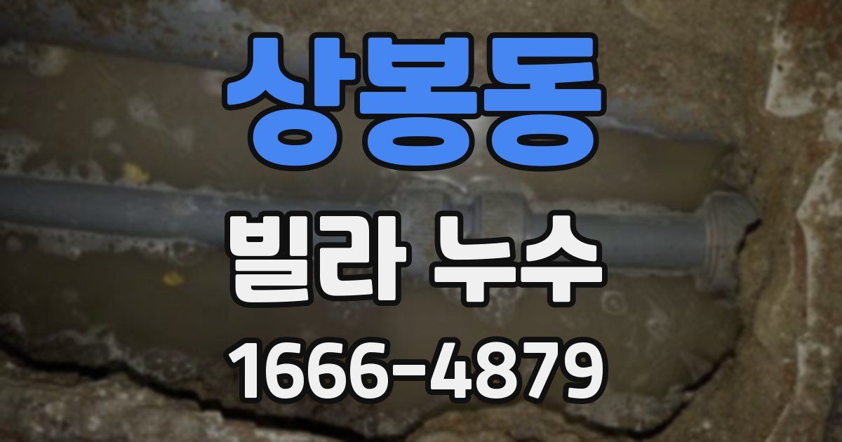 상봉동 빌라 누수