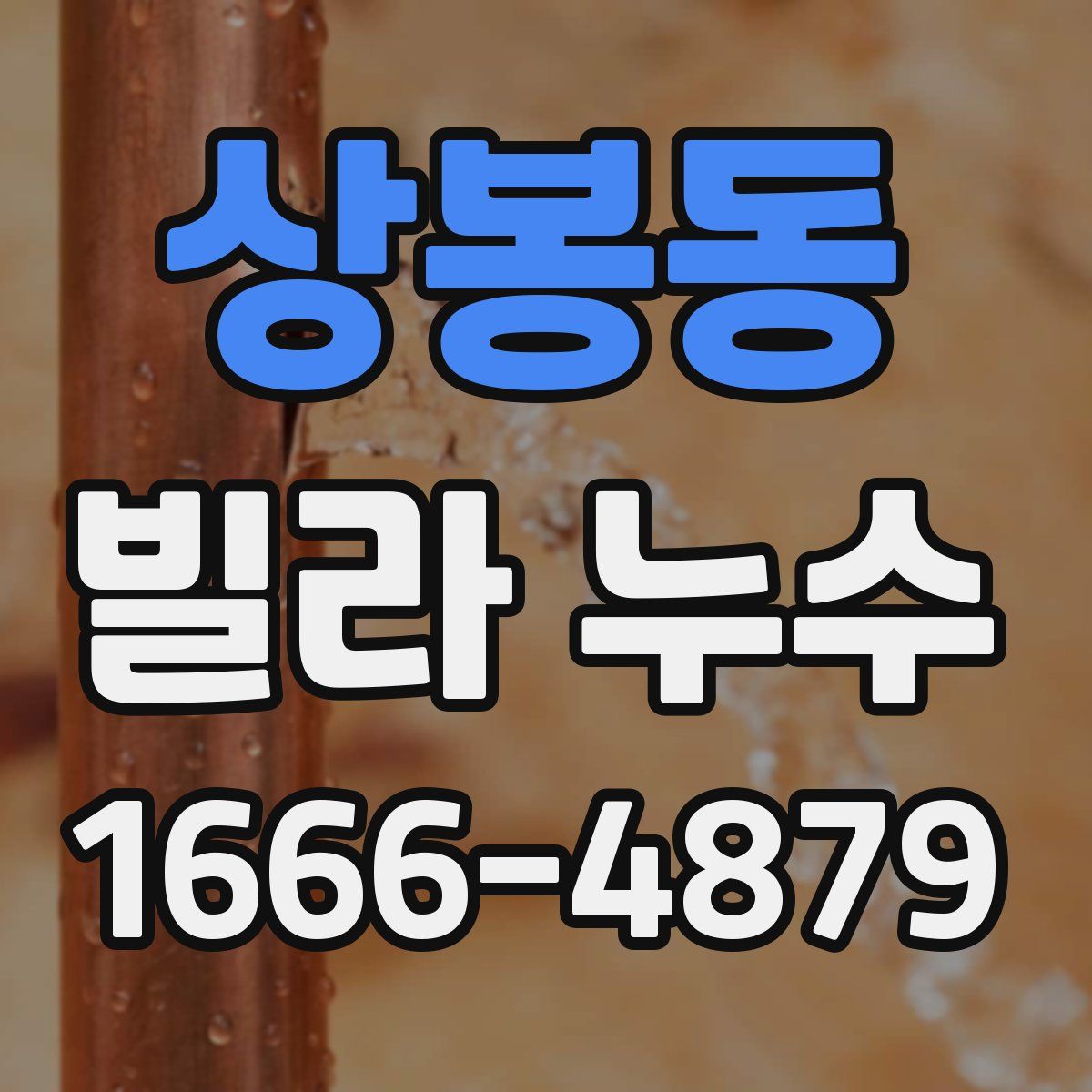 상봉동 빌라 누수