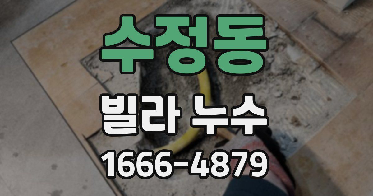 수정동 빌라 누수