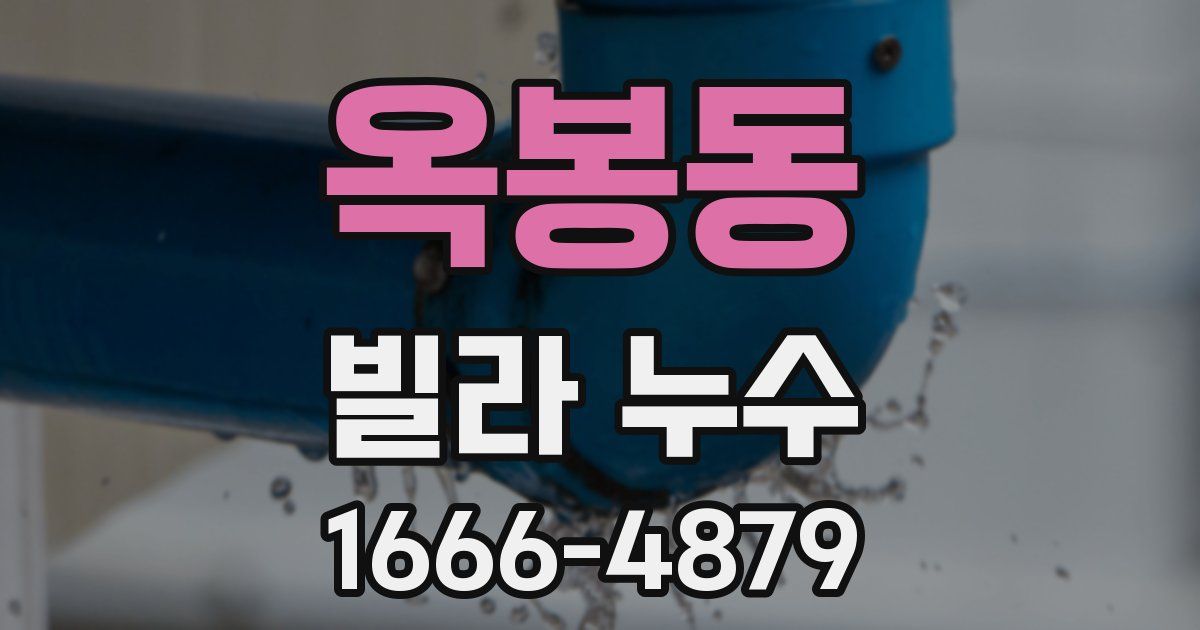 옥봉동 빌라 누수