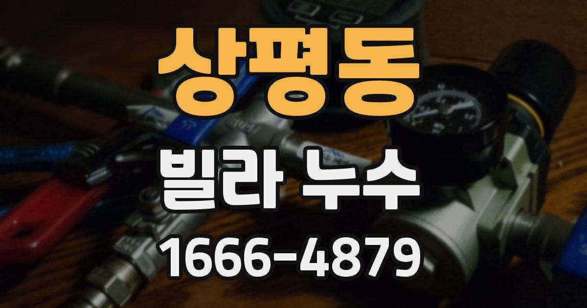 상평동 빌라 누수