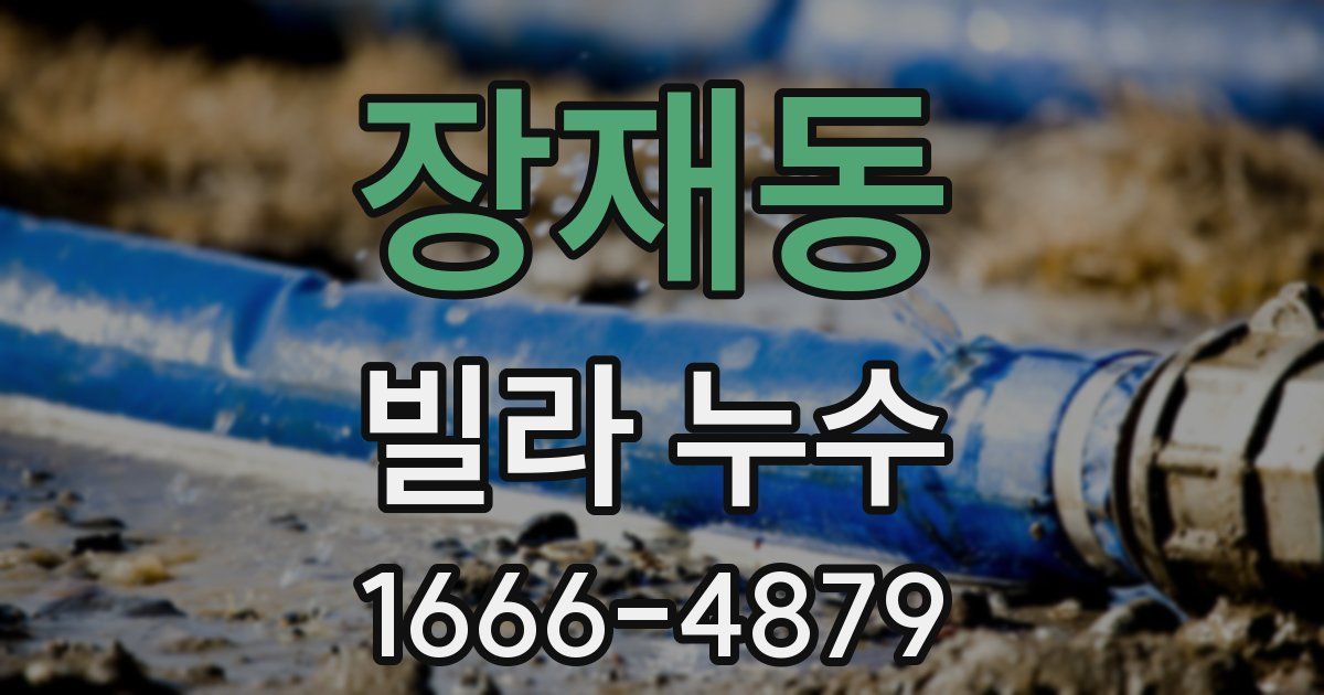 장재동 빌라 누수